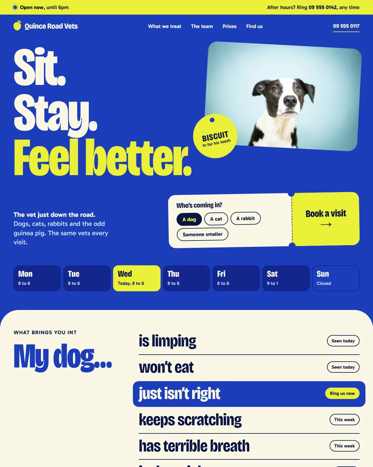 The top of a bold concept website for Quince Road Vets, cobalt blue with yellow-green: a bright strip reading ‘Open now, until 6pm’ and an after-hours number, a menu, then the headline ‘Sit. Stay. Feel better.’ at poster size beside a tilted photograph of a black and white dog wearing a round name tag, ‘Biscuit, in for his teeth’. Below are a tear-off appointment card asking ‘Who’s coming in?’ with a ‘Book a visit’ button, the week’s opening hours with today lit, and the start of ‘What brings you in?’, which finishes the sentence ‘My dog…’ with lines such as ‘is limping’, ‘won’t eat’ and ‘just isn’t right’.