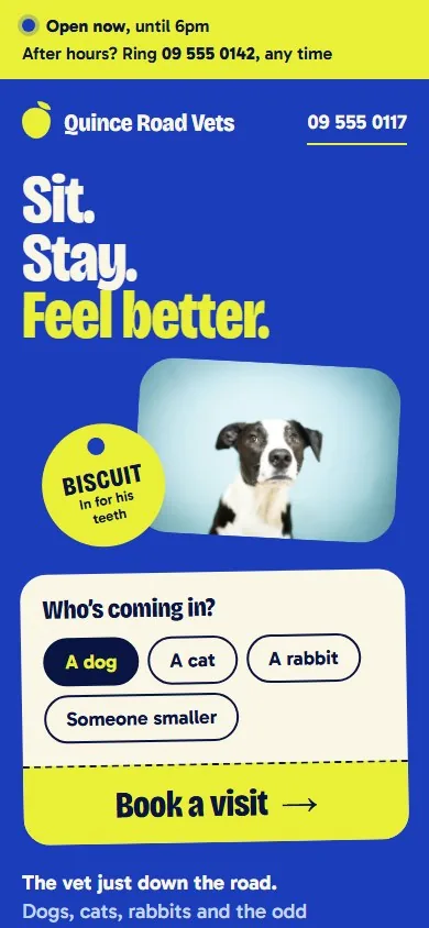 The same page on a phone: the hours strip, the headline, the photograph with its name tag, and the appointment card with its ‘Book a visit’ button.